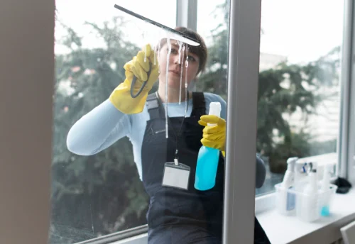 Nettoyage de vitres intérieures et extérieures à Doux